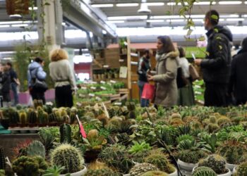 Gli eventi da non perdere nel fine settimana 8-9-10 marzo