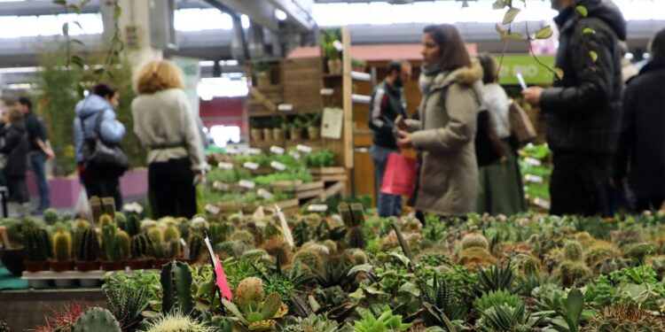 Gli eventi da non perdere nel fine settimana 8-9-10 marzo