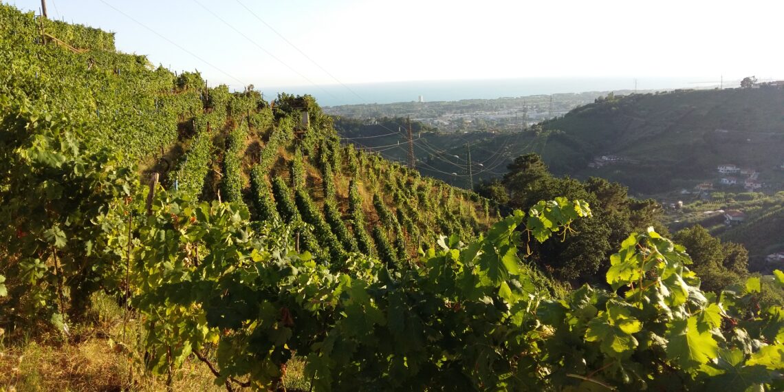 Nuova Convenzione Tessera Turit con il Podere Scurtarola (MS)