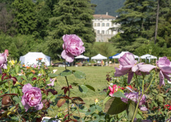 Il 4 e 5 maggio a Ranica (BG) torna Floreka, la mostra-mercato di fiori e piante