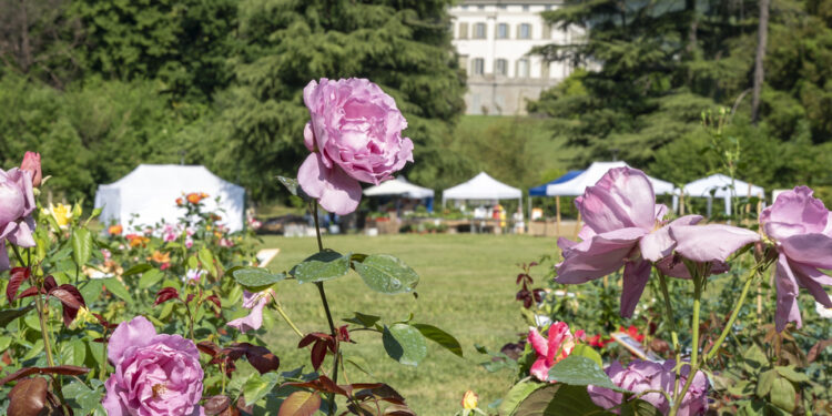 Il 4 e 5 maggio a Ranica (BG) torna Floreka, la mostra-mercato di fiori e piante