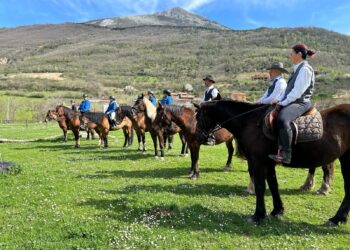 Gli eventi da non perdere nel fine settimana 3-4-5 maggio