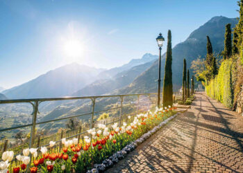 Tirolo in fiore: la primavera nell’incantevole borgo sopra Merano (BZ)