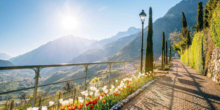 Tirolo in fiore: la primavera nell’incantevole borgo sopra Merano (BZ)