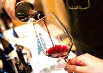 VinNatur Tasting: dal 13 al 15 aprile a Gambellara (VI) oltre 200 modi per degustare secondo natura