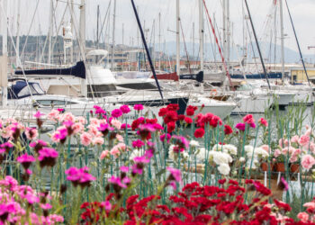Dal 17 al 19 maggio a Genova torna Yacht & Garden