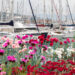 Dal 17 al 19 maggio a Genova torna Yacht & Garden
