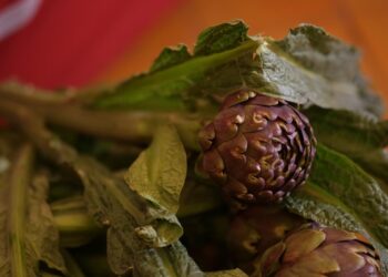 Dal 7 al 10 aprile torna il Festival del Carciofo Romanesco