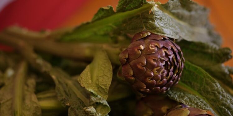 Dal 7 al 10 aprile torna il Festival del Carciofo Romanesco