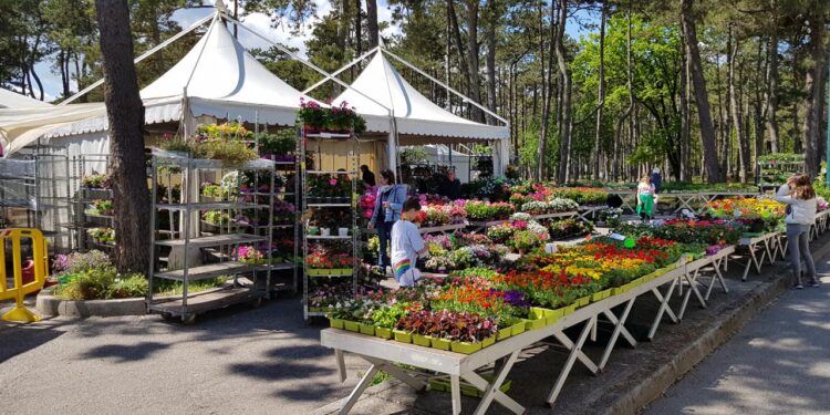Dal 20 aprile al 1° maggio torna “Lignano in fiore”