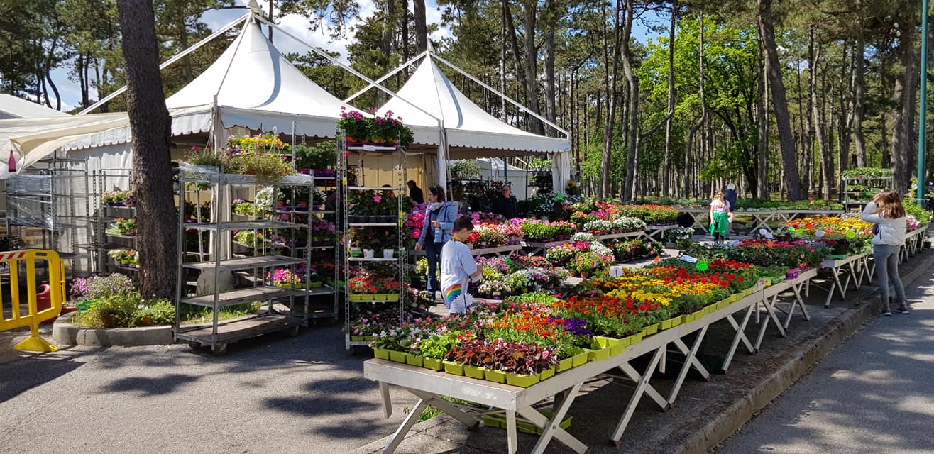 Dal 20 aprile al 1° maggio torna “Lignano in fiore”