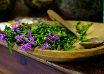In Valle Brembana “Le Erbe del Casaro”: due weekend alla scoperta di natura e sapori