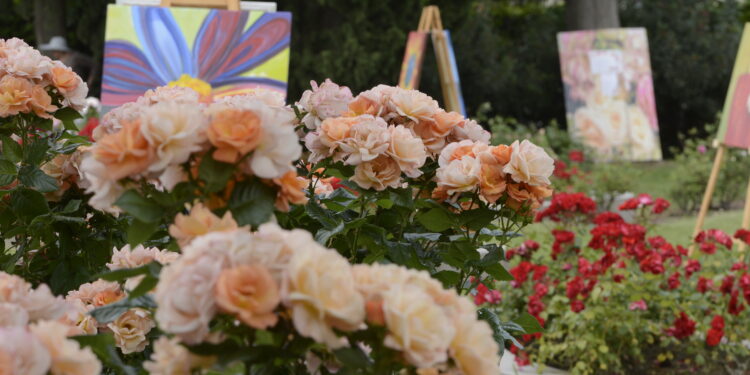 “Rose & Rosé”: dal 18 maggio in Slovenia torna l’appuntamento dedicato a fiori e vino rosé