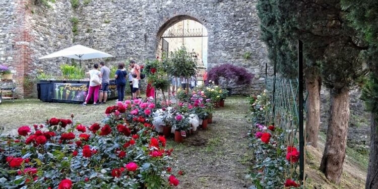 Gli eventi da non perdere nel fine settimana 24-25-26 maggio