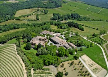 Nuova Convenzione Tessera Turit con l’Azienda Agricola San Fabiano Calcinaia (SI)