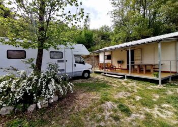 Garden Sharing: soluzioni per chi viaggia con gli amici a 4 zampe