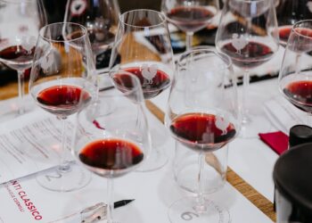 Vinòforum: dal 17 al 23 giugno la 21esima edizione al Circo Massimo di Roma