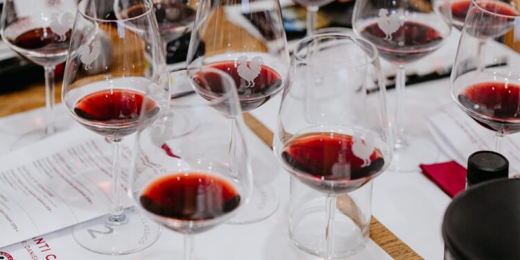 Vinòforum: dal 17 al 23 giugno la 21esima edizione al Circo Massimo di Roma