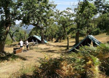 Nuove strutture Garden Sharing: agricamping per camperisti