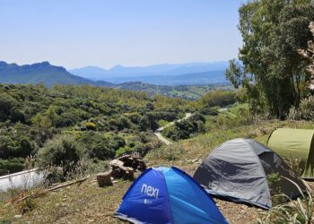 Garden Sharing: soluzioni di viaggio per i single