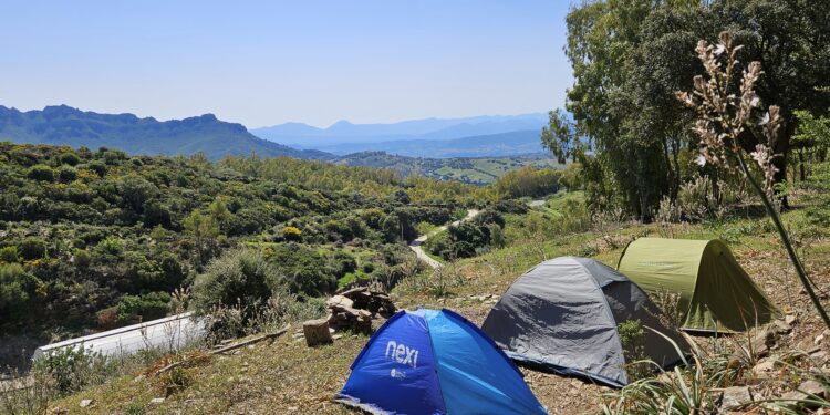 Garden Sharing: soluzioni di viaggio per i single