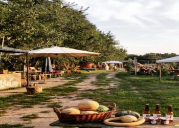 Garden Sharing: Strutture con corsi e attività