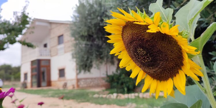 Garden Sharing: Strutture immerse nella campagna