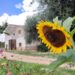 Garden Sharing: Strutture immerse nella campagna