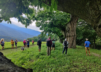 Nella Valle dei Laghi in Garda Trentino dal 27 luglio al 4 agosto torna “Festival Confluenze”