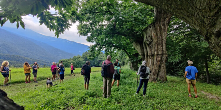 Nella Valle dei Laghi in Garda Trentino dal 27 luglio al 4 agosto torna “Festival Confluenze”