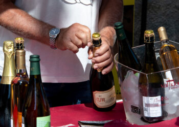 Festa di vino e territorio: a settembre la 15esima edizione del Valtidone Wine Fest