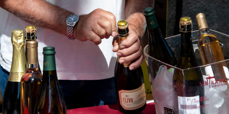 Festa di vino e territorio: a settembre la 15esima edizione del Valtidone Wine Fest