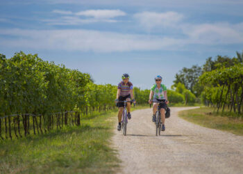 Di cantina in frantoio, pedalando lungo le vie del vino e dell’olio di Verona e Garda veronese