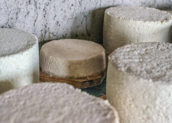 In Valle Aurina dal 7 al 15 settembre un viaggio nella storia della tradizione casearia alpina e del “formaggio grigio”