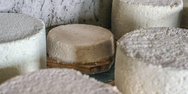 In Valle Aurina dal 7 al 15 settembre un viaggio nella storia della tradizione casearia alpina e del “formaggio grigio”