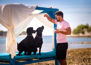 In giro per la Croazia dove il vostro cane è sempre il benvenuto