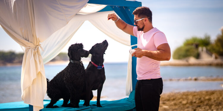 In giro per la Croazia dove il vostro cane è sempre il benvenuto