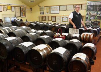 Modena e dintorni: mete gastronomiche perfette per i camperisti