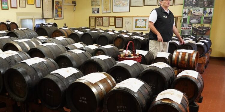 Modena e dintorni: mete gastronomiche perfette per i camperisti