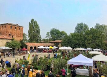 Gli eventi da non perdere nel fine settimana 4-5-6 ottobre