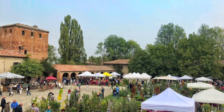 Gli eventi da non perdere nel fine settimana 4-5-6 ottobre