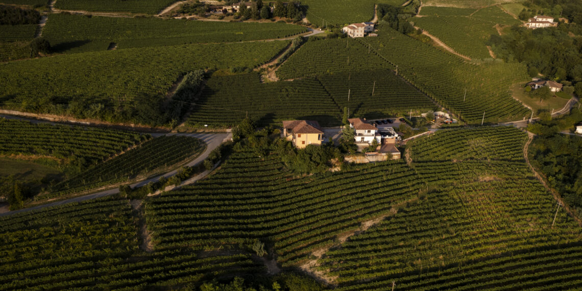 Nuova Convenzione Tessera Turit con l’Azienda Beatrice Cortese Vini (CN)