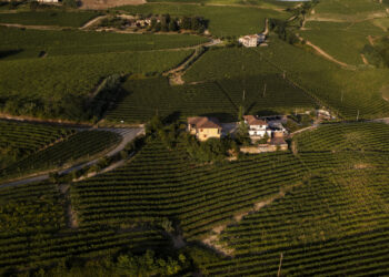 Nuova Convenzione Tessera Turit con l’Azienda Beatrice Cortese Vini (CN)