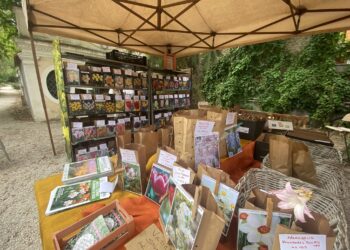 Dal 27 al 29 settembre al Museo Orto Botanico di Roma “La Conserva della neve”