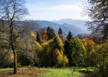 Nei borghi dell’Alta Val Brembana esplodono i colori del foliage