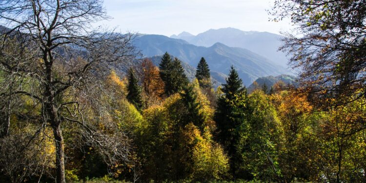 Nei borghi dell’Alta Val Brembana esplodono i colori del foliage