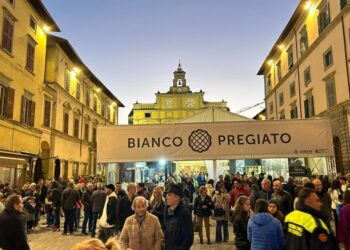 Da venerdì 1 a domenica 3 novembre a Città di Castello (PG) arriva il Salone del Tartufo Bianco Pregiato