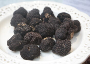 In Emilia Romagna da domenica 13 ottobre per cinque domeniche torna la Fiera Nazionale del Tartufo di Fragno