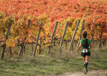 “Sagrantino Running – The Wine Trail”: il 2 e 3 novembre in Umbria la festa dell’outdoor