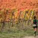 “Sagrantino Running – The Wine Trail”: il 2 e 3 novembre in Umbria la festa dell’outdoor